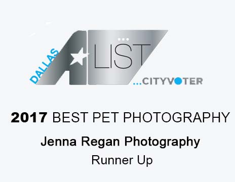 best pet photographers in dallas awards