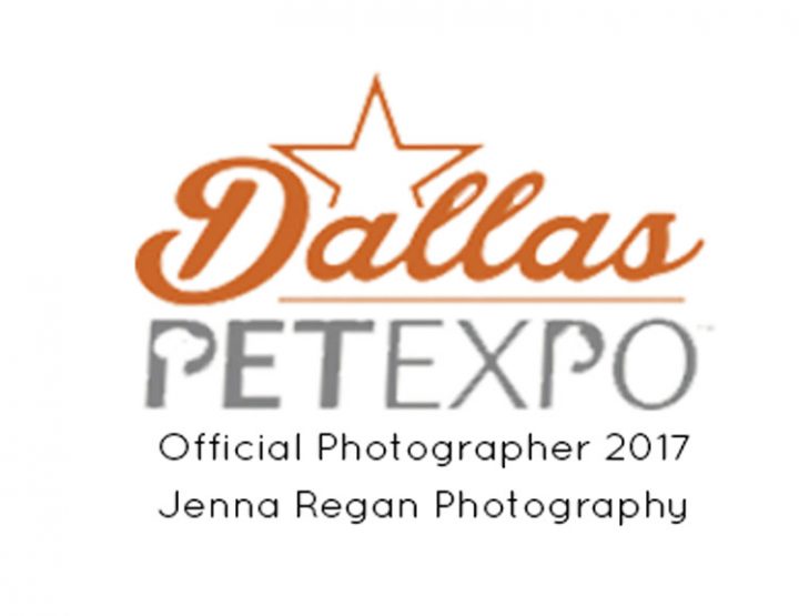 Dallas Pet Expo Official Photographer | Dog Event at Dallas Market Hall | May 2017