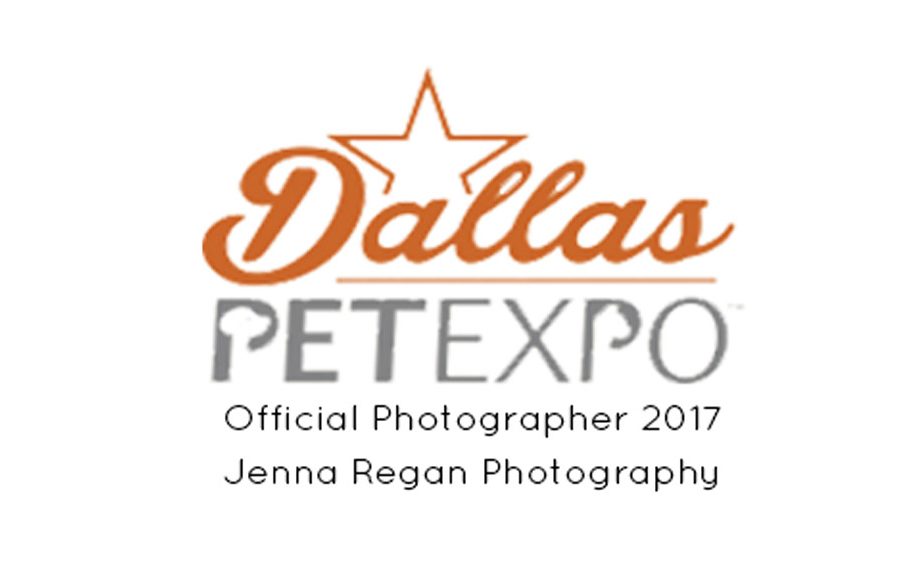 Dallas Pet Expo Official Photographer | Dog Event at Dallas Market Hall | May 2017