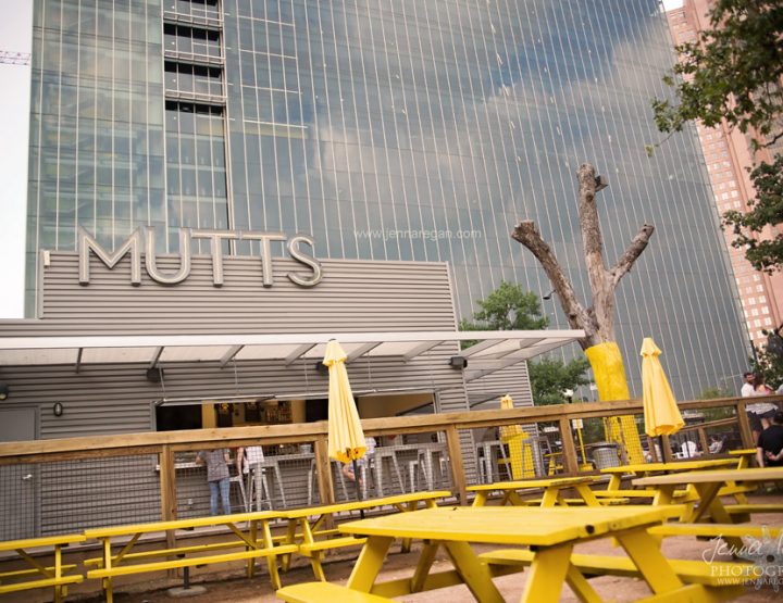 Dog Moms of Dallas Meet Up at Mutts Canine Cantina | June 2017
