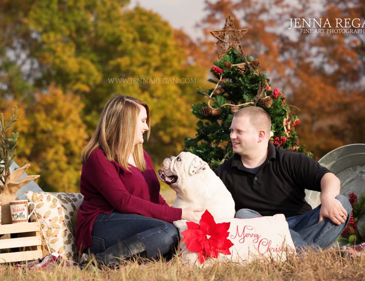 2018 Limited Edition Holiday Pet Portraits | Dallas People & Pet Photography