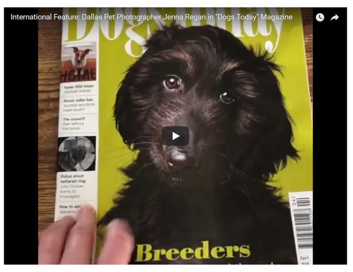 International Feature: Dallas Pet Photographer Jenna Regan's Dog Photography in 