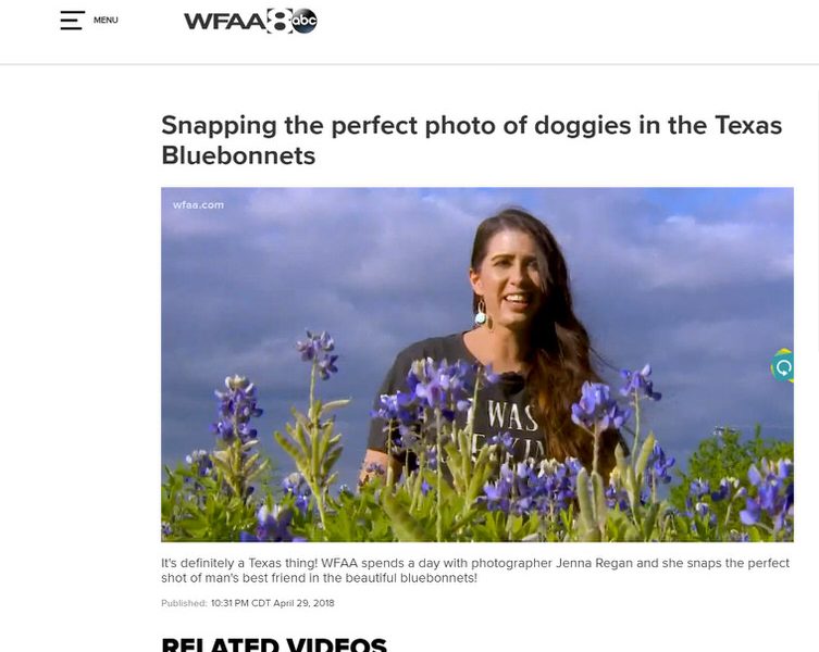 News Feature: Dallas' WFAA Channel 8 | Jenna Regan Photographing Dogs in Bluebonnets