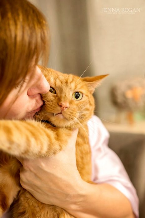 close up of orange cat being kissed by mom