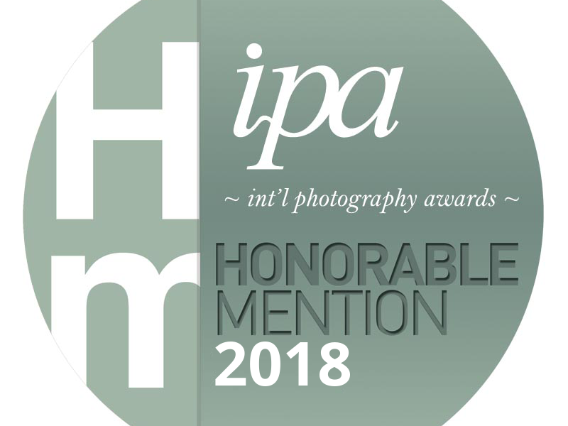 Press Release: Dallas Fort Worth Pet Photographer Jenna Regan Awarded in International Competition | October 2018