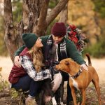 pit mix dogs in fall photos photographed by jenna regan photography